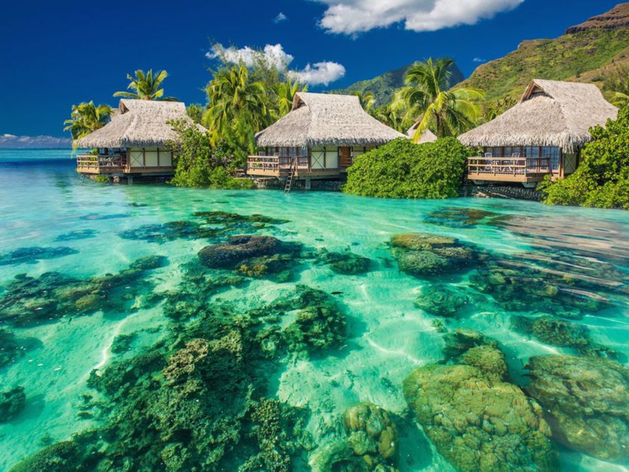 Fiji Overwater Bungalows